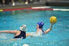 WWPolo vs CC  Wheaton College Women’s Water Polo compete in their sports inaugural match vs Connecticut College. - Photo By: KEITH NORDSTROM : Wheaton, water polo, inaugural